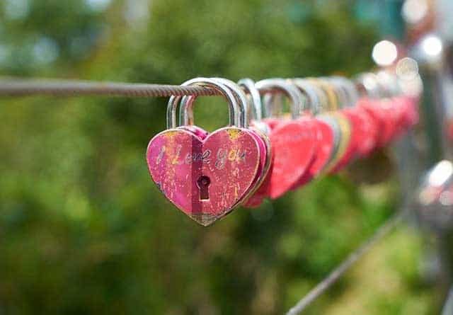 Eine neue Liebe wartet! Eine neue Liebe wartet!